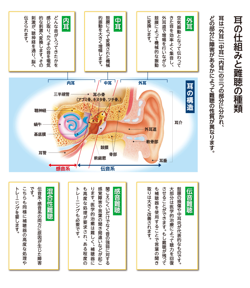 相模原市　補聴器